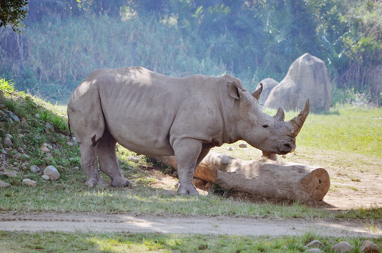 Fun at Australia Zoo #xlinQLD