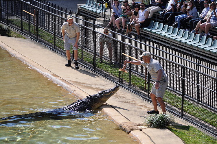 Fun at Australia Zoo #xlinQLD