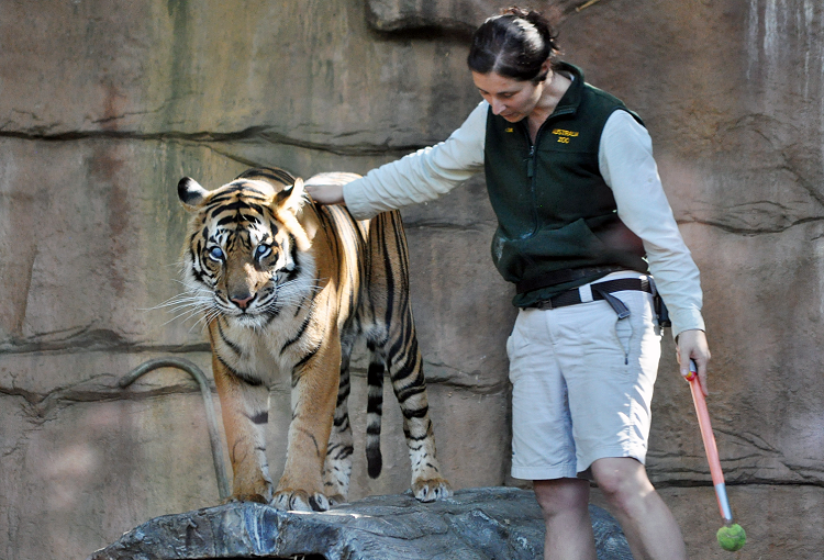 Fun at Australia Zoo #xlinQLD