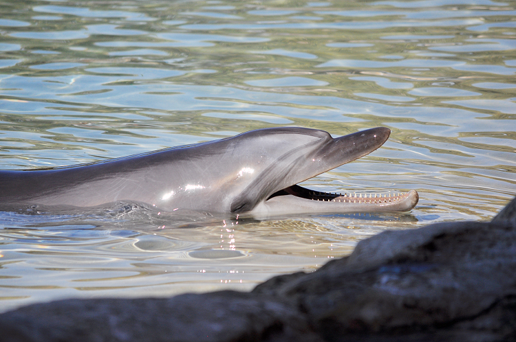 My day at Sea World Australia #xlinqld