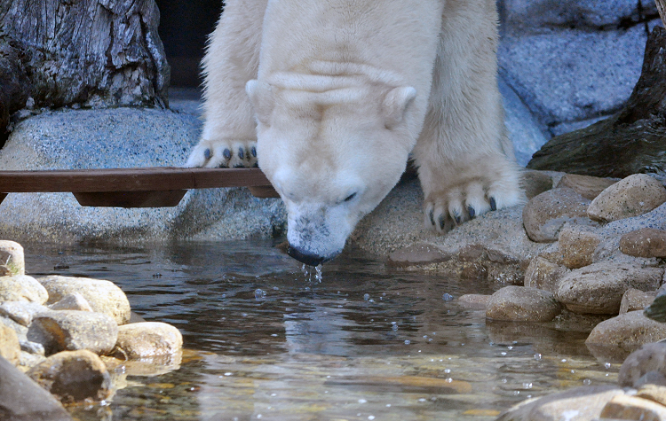 My day at Sea World Australia #xlinqld