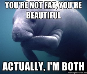 Fat Positive Manatee! ⋆ Natatree