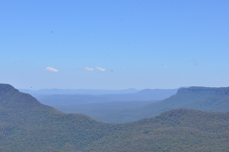 The Blue Mountains - The Three Sisters ⋆ Natatree