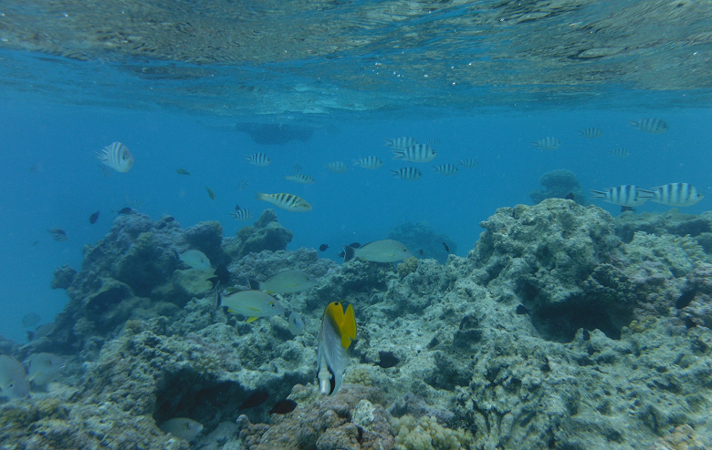 Aitutaki - The Vaka Cruise - Part One ⋆ Natatree